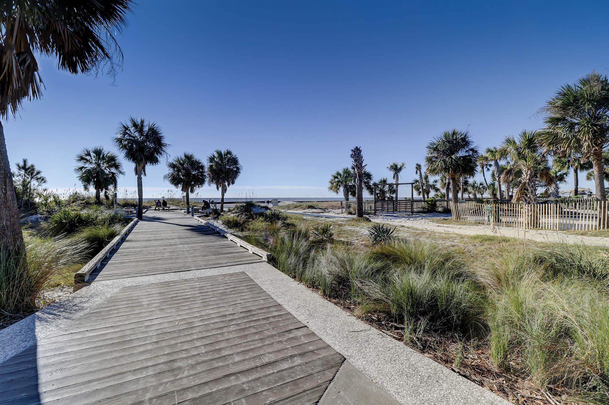 Forest Beach Communitiy